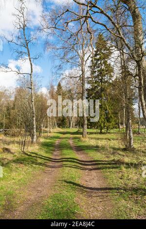 Strada sterrata attraverso un pascolo soleggiato in primavera Foto Stock