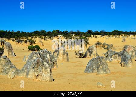 Australien, Westaustralien, Steinformation Pinnacles im Nambung Nationalpark bei Cervantes Foto Stock