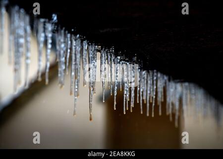 Thaxted Essex UK Snow conditions Winter Weather conditions 8 February 2021 Icicles Beast from the East II Le condizioni invernali della neve colpiscono l'Inghilterra orientale Foto Stock