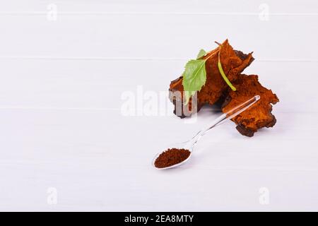 Pezzi di funghi Chaga, cucchiaio trasparente con polvere, tazza da tè in vetro isolata su sfondo bianco, primo piano. Foto Stock