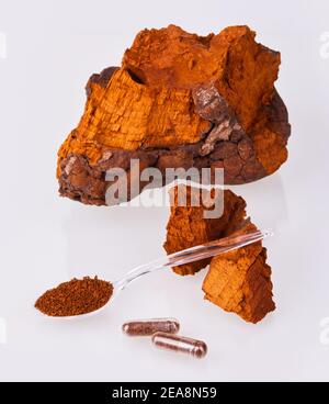 Pezzi di funghi Chaga, cucchiaio trasparente con polvere, tazza da tè in vetro e capsule di gelatina trasparenti isolate su sfondo bianco, primo piano. Foto Stock