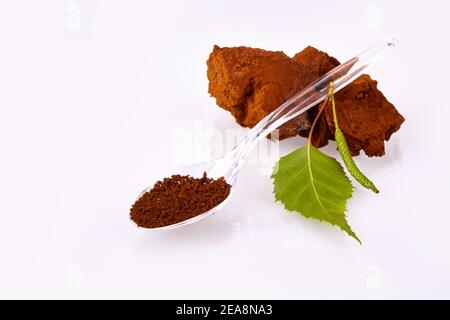 Pezzi di funghi Chaga, cucchiaio trasparente con polvere, tazza da tè in vetro e capsule di gelatina trasparenti isolate su sfondo bianco, primo piano. Foto Stock