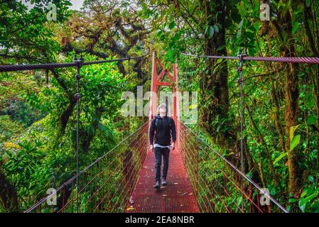 Tour a piedi su un ponte sospeso nella foresta di Monteverde Cloud, Costa Rica Foto Stock