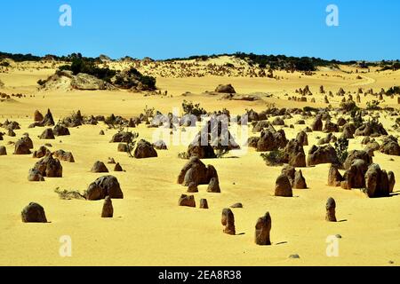 Westaustralien, Steinformation Pinnacles im Nambung Nationalpark bei Cervantes Foto Stock