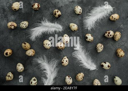 Modello elegante con uova di Pasqua e piume su sfondo scuro. Disposizione piatta, vista dall'alto. Concetto di vacanza di Pasqua. Foto Stock