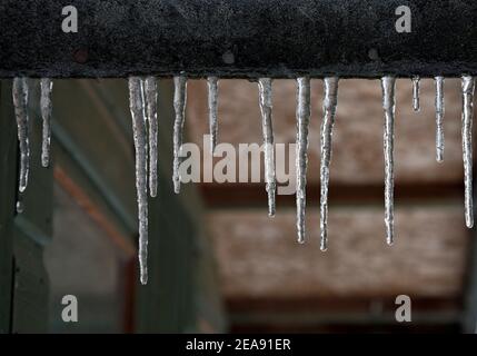Icicles appesi da un tetto di capannone di giardino durante un periodo di tempo freddo in inverno in Hellesdon, Norfolk, Inghilterra, Regno Unito. Foto Stock