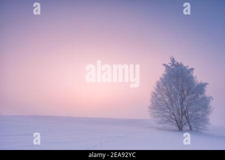 Paesaggio invernale con nebbia. Paesaggio caldo e freddo dell'alba Foto Stock