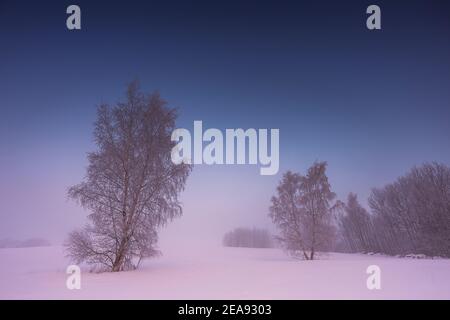 Paesaggio invernale con nebbia. Paesaggio caldo e freddo dell'alba Foto Stock