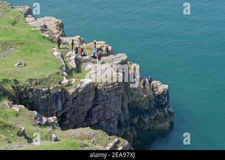 Gruppo di turisti che si coastering, salendo le scogliere dal mare dopo aver saltato da loro, Rhossili, la penisola di Gower, Galles, Regno Unito, agosto. Foto Stock