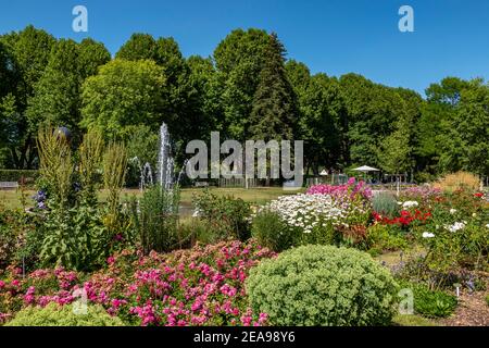 Giardino di rose a Zweibrücken, Renania-Palatinato, Germania Foto Stock