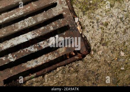 Vista dall'alto del coperchio di scarico corroso e arrugginito in muschio concetto di povertà suburbana con lastra concreta con spazio di copia per il testo sulla destra Foto Stock