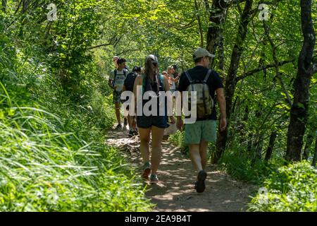 Plitvice, Croazia - 11 agosto 2020: Escursionisti su strada trekking nel parco nazionale Foto Stock