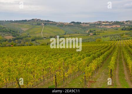 Paesaggio vicino Firenze a Toscane, Italia Foto Stock