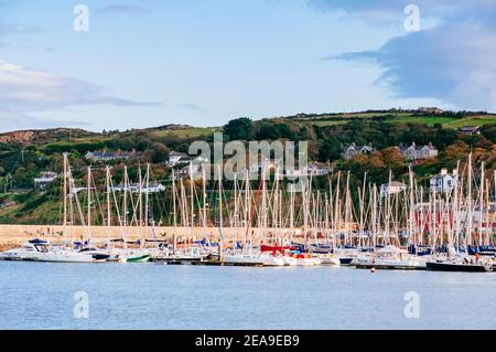 Howth Marina. Howth, Contea di Dublino, Irlanda, Europa Foto Stock