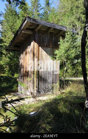 Servizi igienici nella foresta, Germania, Baviera, Werdenfels, Ferchensee, autunno Europa, alta Baviera, Werdenfelser Land, Foto Stock