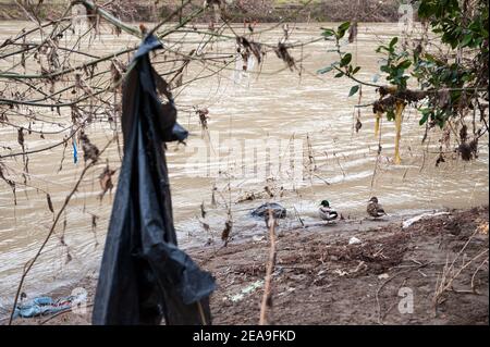 Roma, Italia 03/02/2021: Fiume Tevere dopo l'alluvione. © Andrea Sabbadini Foto Stock