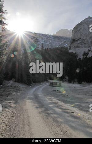 Austria, Tirolo, Leutasch, Leutaschtal, Gaistal, montagne, alpi, Monti Wetterstein, paesaggio montano, paesaggio montano, idillio, atmosfera, brina, cielo, rocce, turismo, via, strada, retroilluminazione, tardo autunno, natura, alberi, Igelsee Foto Stock