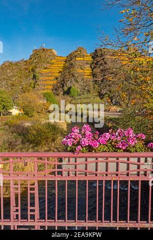 Il Saffenburg nella valle dell'Ahr vicino a Mayschoss, Renania-Palatinato, Germania Foto Stock