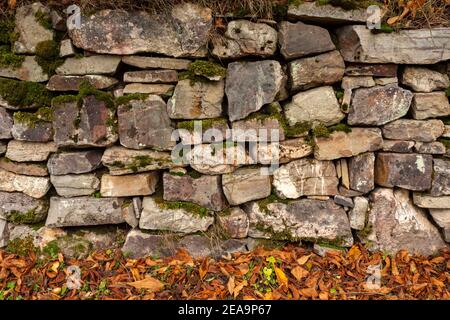 Vecchio muratore in autunno. Wildenburg vicino Kempfeld, Hunsrück, Renania-Palatinato, Germania Foto Stock