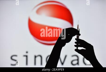 Irlanda. 7 Feb 2021. In questa figura è illustrata una silhouette di mani che tengono una siringa medica davanti al logo Sinovac visualizzato su uno schermo. Credit: Cezary Kowalski/SOPA Images/ZUMA Wire/Alamy Live News Foto Stock