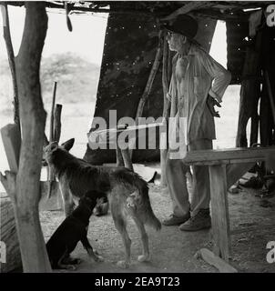 Carpentiere con cappello in piedi nel suo laboratorio di legno , Stato di Lara, Venezuela , Sud AmericaLara, Stato di Lara, Venezuela , Sud America Foto Stock