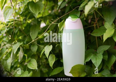 Toner naturale organico in bottiglia su sfondo naturale con copia spazio Foto Stock