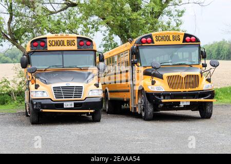 Canadian School Buses, Ontario Province, Canada Foto Stock