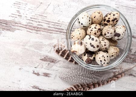 Quail uova in un recipiente di vetro e piume su un tavolo di legno. Spazio di copia, modello, vista dall'alto Foto Stock