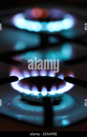 Primo piano sulle fiamme del bruciatore della stufa a gas con blu sfocato squilla sullo sfondo Foto Stock