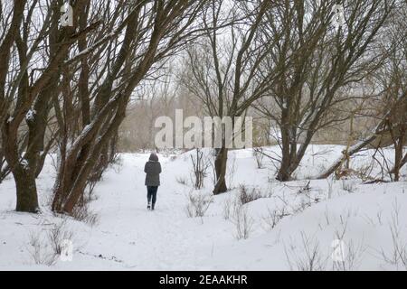 Neve nelle dune di Den Haag, Olanda Foto Stock