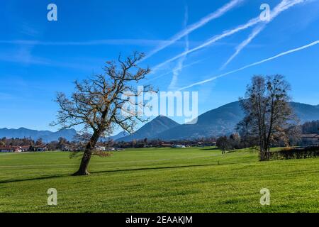 Germania, Baviera, alta Baviera, distretto di Rosenheim, Bad Feilnbach, distretto di Lippertskirchen, paesaggio autunnale verso Sulzberg e Farnenpoint Foto Stock