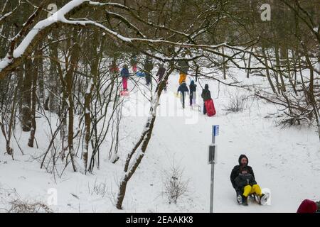 Neve nelle dune di Den Haag, Olanda Foto Stock