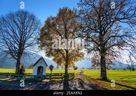 Germania, Baviera, alta Baviera, distretto di Rosenheim, Bad Feilnbach, paesaggio muschio nei pressi di Wiechs Foto Stock