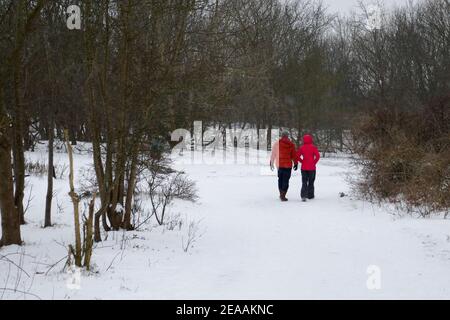 Neve nelle dune di Den Haag, Olanda Foto Stock