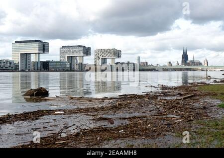 Colonia, Germania - 04 febbraio 2021: Alluvione del fiume reno a colonia Foto Stock