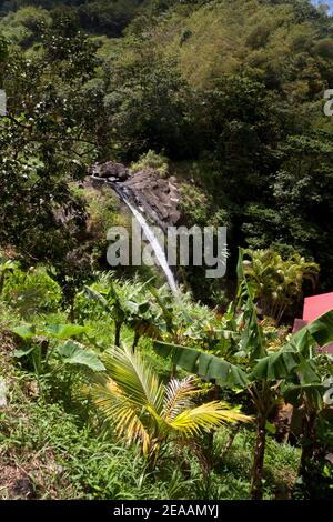 cascata di concord grenada isole del ventoso ovest indie Foto Stock