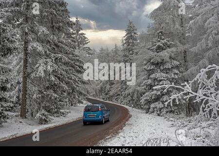 Cima strada sulla Erbeskopf (816 m), montagna più alta in Renania-Palatinato, Parco Nazionale Hunsrück-Hochwald, Renania-Palatinato, Germania Foto Stock