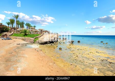 Le barriere coralline sulla spiaggia vicino a hotel Foto Stock