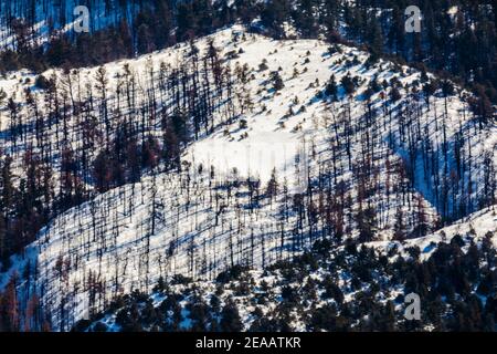 Vento soffiato neve coperto Simmons Peak; altitudine 12.050'; vicino a Salida; Colorado; USA Foto Stock