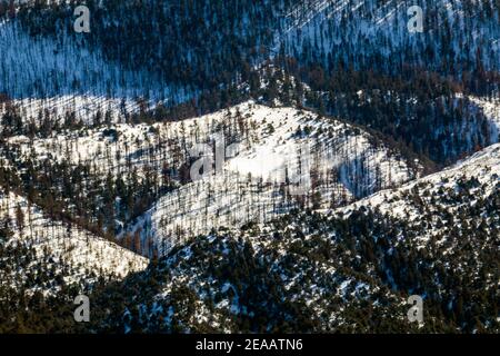 Vento soffiato neve coperto Simmons Peak; altitudine 12.050'; vicino a Salida; Colorado; USA Foto Stock