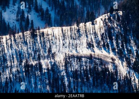 Vento soffiato neve coperto Simmons Peak; altitudine 12.050'; vicino a Salida; Colorado; USA Foto Stock