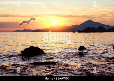 Tramonto nel mare adriatico del Montenegro Foto Stock
