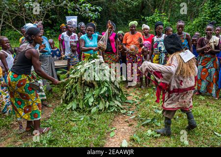 Gente di Mende che balla nella zona rurale occidentale, Sierra Leone. I diavoli forestali hanno un costume di rami con foglie fresche Foto Stock