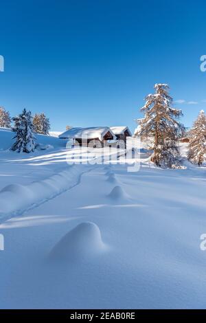 Kastelruth, Provincia di Bolzano, Dolomiti, Alto Adige, Italia. Inverno sull'Alpe di Siusi. Foto Stock