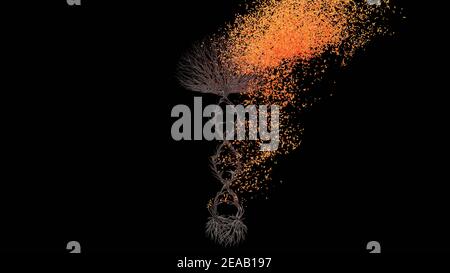 Albero a forma di catena del DNA. Transizione stagionale su sfondo nero. Concetto ecologico. Rendering 3D. Foto Stock