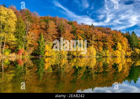 Umore autunnale all'Haarsee, vicino a Weilheim, Pfaffenwinkel, Foreland Alpina, alta Baviera, Baviera, Germania, Europa Foto Stock