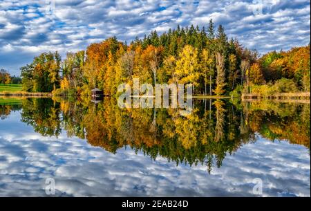 Umore autunnale all'Haarsee, vicino a Weilheim, Pfaffenwinkel, Foreland Alpina, alta Baviera, Baviera, Germania, Europa Foto Stock