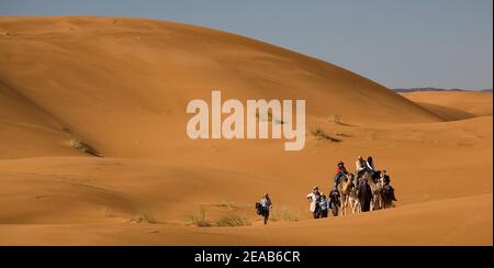 Escursione in cammello in Marocco Foto Stock