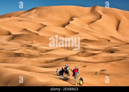 Escursione in cammello in Marocco Foto Stock
