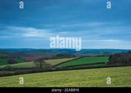 Campi di Berry Pomeroy Village in Devon in Inghilterra in Europa Foto Stock